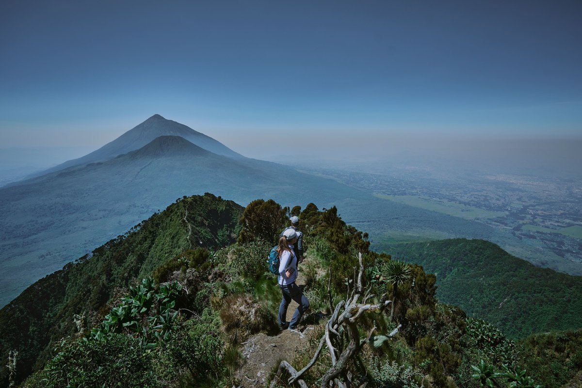 Back in Kampala, but feeling the urge to go hiking again. Where to next? 🤔 📷 @t_latim 📍 Virunga Mountains with @RusticUganda