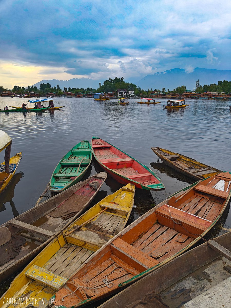 Capturing the beautiful ambience of Kashmir in its natural form with Mobile Camera OnePlus 11. Dal Lake Srinagar 
#srinagar #dallake #Kashmir