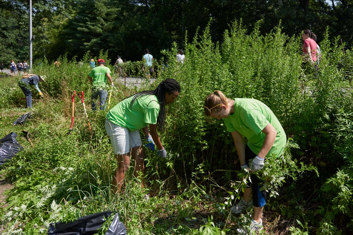 It’s #StewardshipSunday and Earth Week is just around the corner! Make a difference in Prospect Park and join an upcoming It’s My Park Day volunteer event on Mondays April 22, May 6 and May 20 to lend a hand to your park after busy weekends: prospectpark.org/ItsMyPark