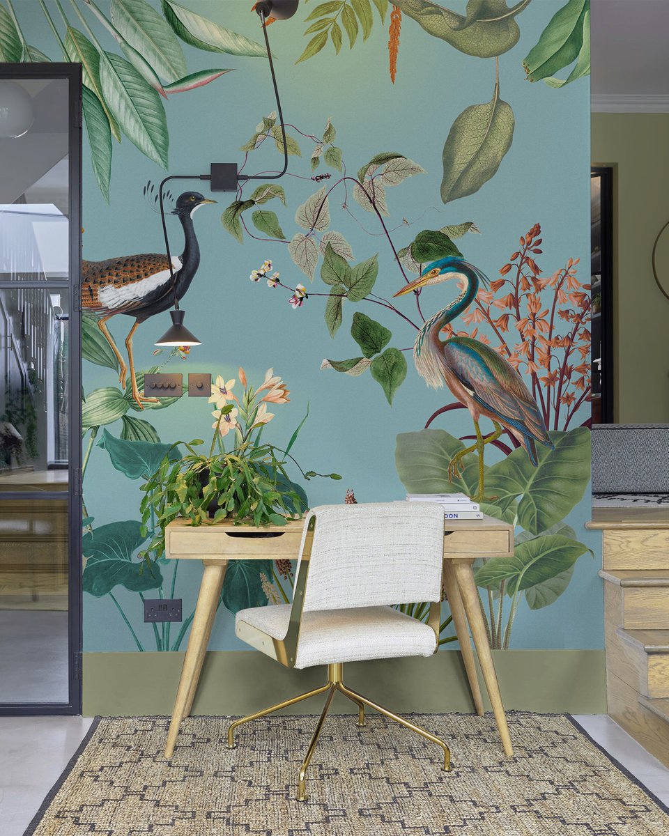 For bold impact on your walls why not try out our new Glasshouse Duck Egg bespoke mural? 🩵🪿

#wallpapemural #birdwallaper #homeoffice