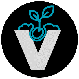 ItaVaUEF's tweet photo. ๐ช๐ Knock, knock! ๐ช๐Who's there? ๐ You must have seen our logo changing everywhere! And we've got a big reveal to make... ๐ฅ๐ Our former chair, @tulenovo36, won our logo contest! ๐๐จ Let's give her a virtual high-five for her amazing design skills! ๐๐ #LogoWinner https://t.co/CL0yppovzs