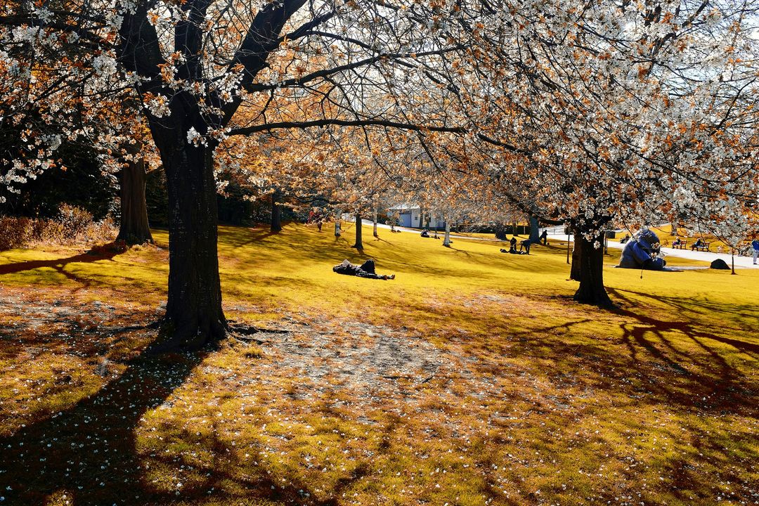 'They were fresh now as a succession of April showers and gleams, followed by a lovely spring morning, could make them: the sun was just entering the dappled east, and his light illumined the wreathed and dewy orchard trees and shone down the quiet walks under them.' - Jane Eyre