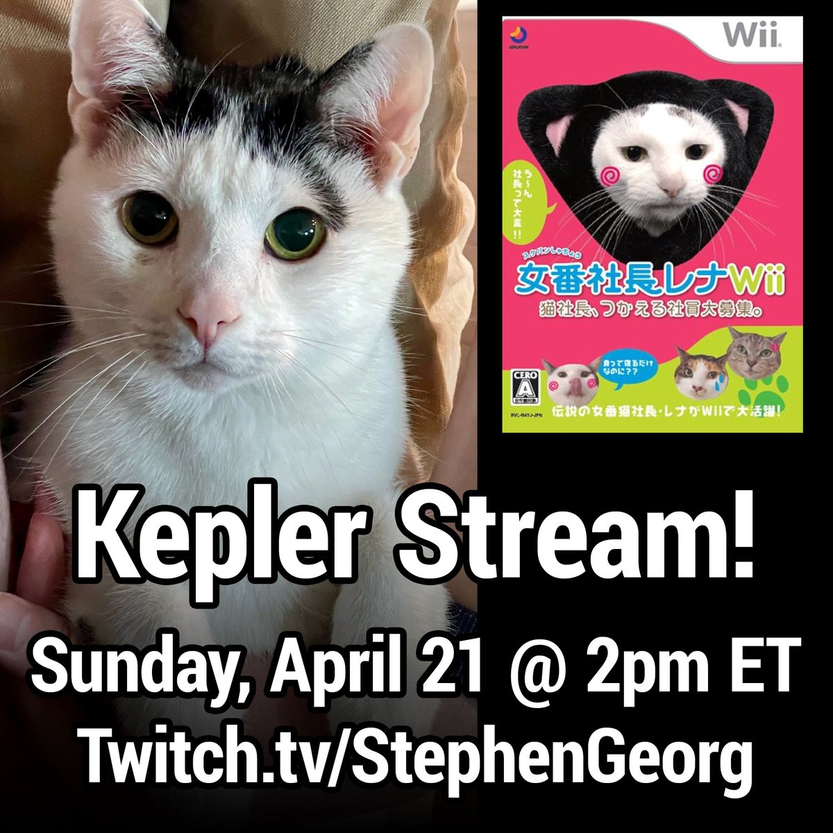 Hey folks, we’re doing a special livestream today for Kep, to help offset his vet bills. If you’d like to come hang out and see one of the worst-selling Wii games of all time, we’re live now! 🔴 twitch.tv/stephengeorg