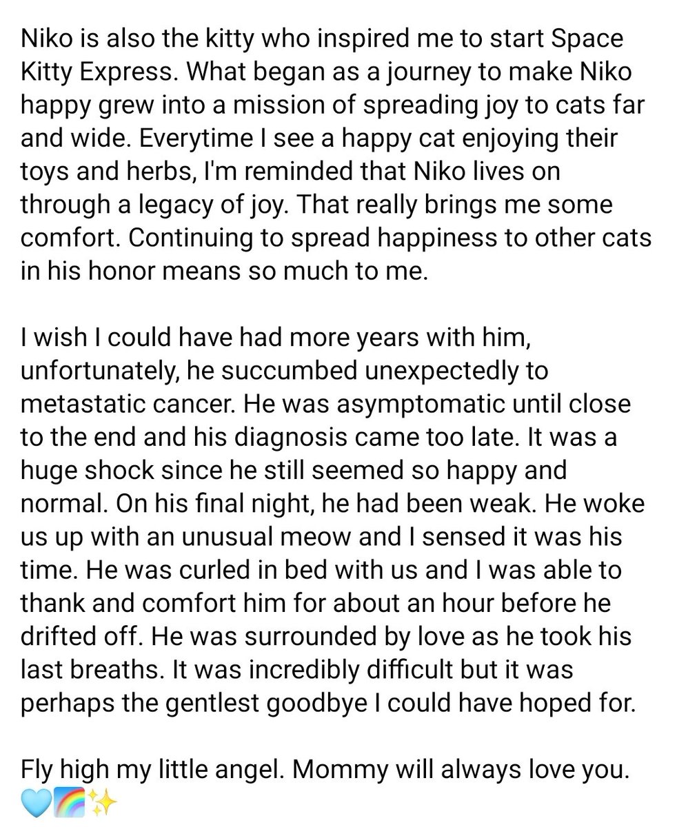 My sweet boy Niko passed away. I've been struggling to find the right words but wanted to share his story here. He was truly one of a kind and I am so grateful for him. Fly high my little angel. Mommy will always love you. 🩵🌈✨️