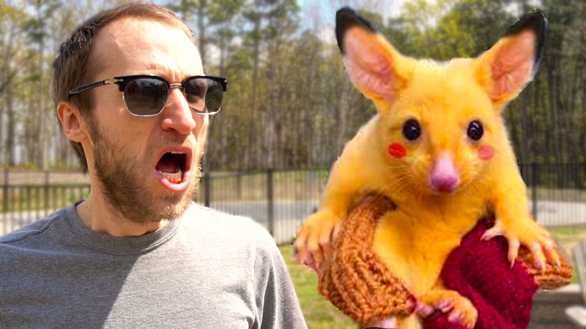 McJuggerNuggets Found Real Life PIKACHU! youtu.be/5iau7GMv_z0?si…