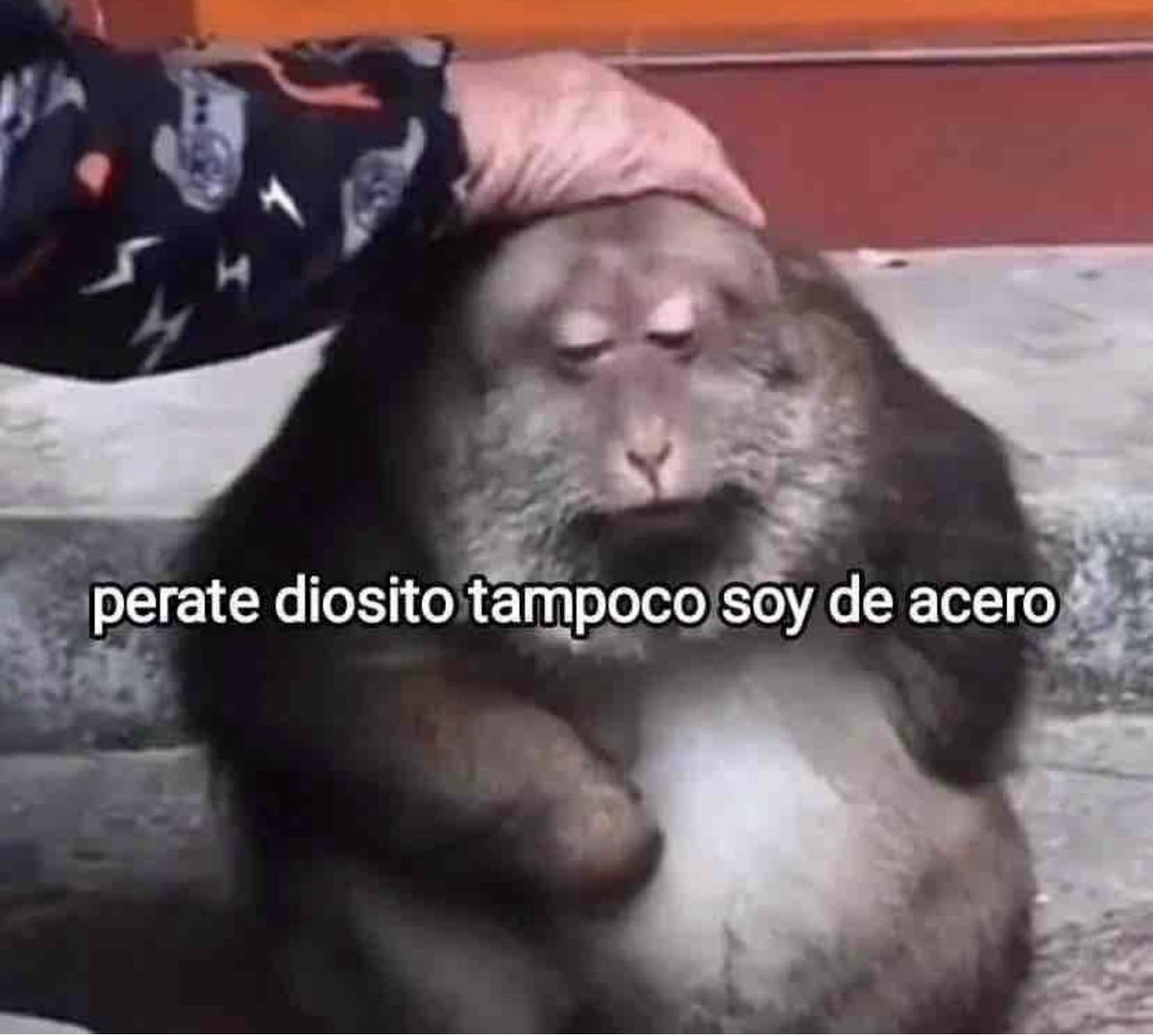 Perate!