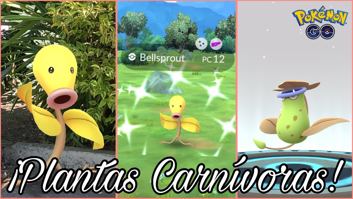 ¡Hey Chicos, ¿Como están?!
El día de hoy les traigo un resumen de mi #CommunityDay de #Bellsprout en  #PokemonGO y la verdad no fue la gran cosa 
¿Como me fue? Acompáñenme a verlo 😉

Link: youtu.be/SrmedrLXLTA