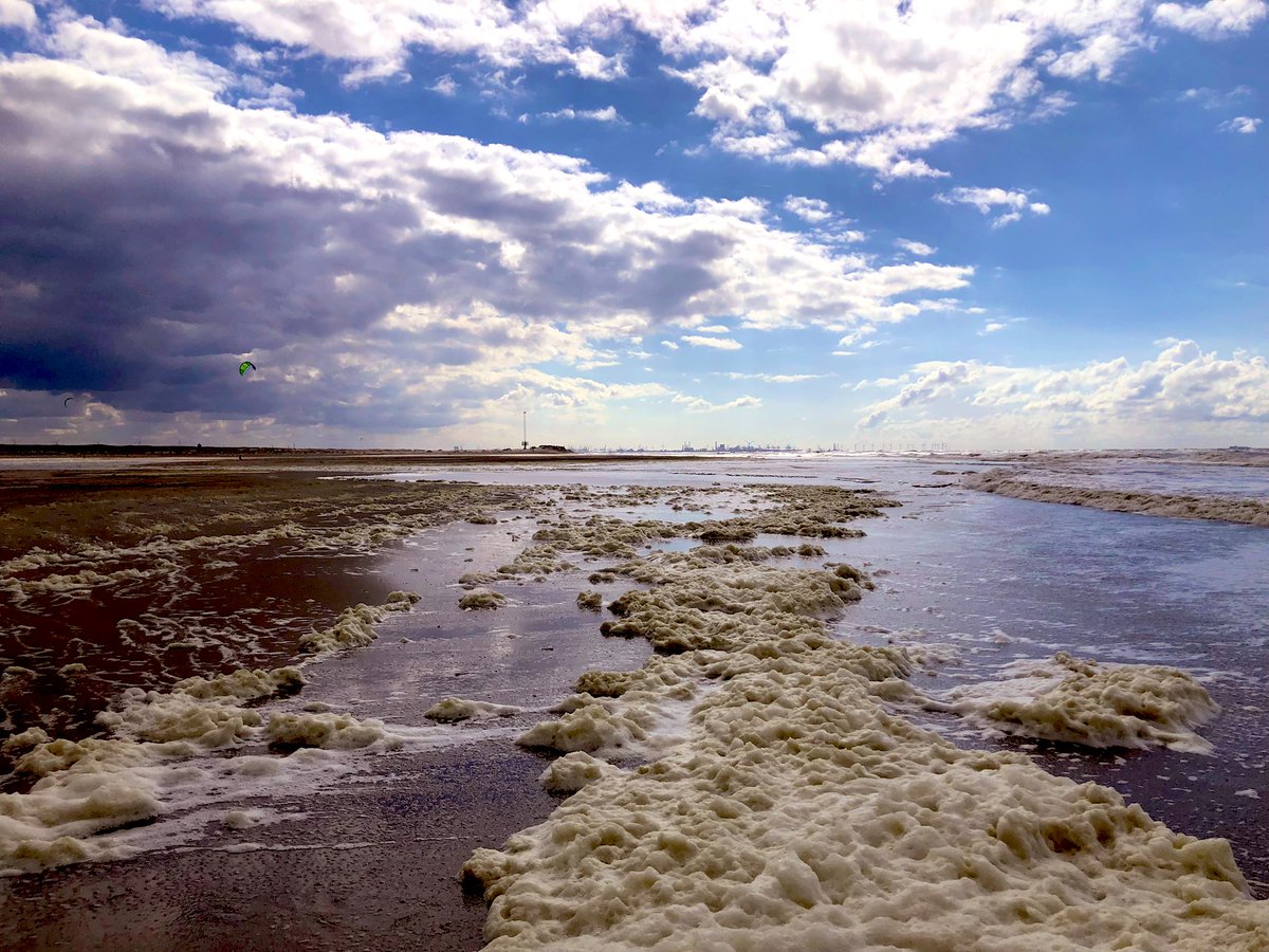 Beautiful skies, interesting finds and happy visitors at the @RM_Oudheden 2024 #Doggerland #strandstruindag