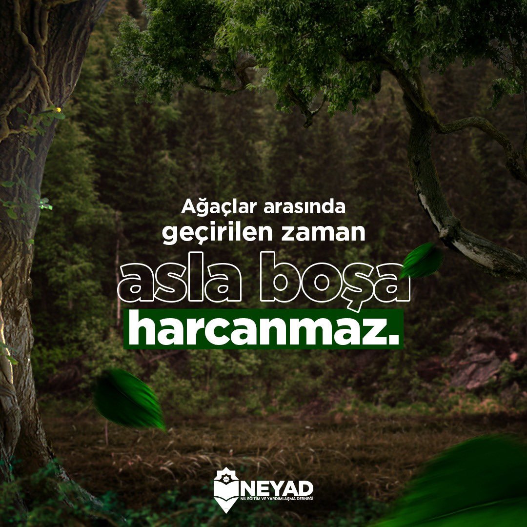 NeyadVakfi's tweet photo. Ormanlar sadece yaban hayatın değil, bizim de yuvamız. Çünkü biz de bu doğanın parçasıyız. Çünkü ormanlar oksijen demek, yaşam demek, gelecek demek.🌳
@Nilgun_Diptas
#neyad https://t.co/rp1bLw3fps