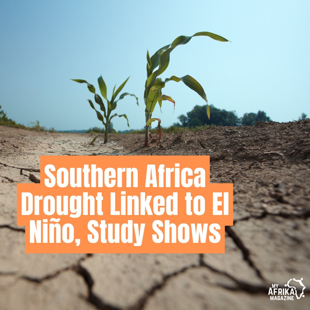 El Niño, Not Climate Change, Blamed for Southern Africa Drought: Titled “El Niño key driver of drought in highly vulnerable Southern African countries,” the study was carried out under the World Weather Attribution group and involved scientists from various universities and