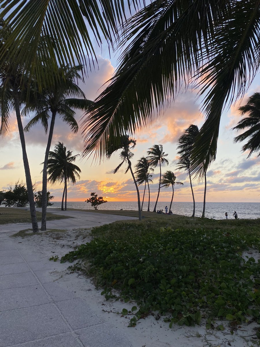 caag2020dac's tweet photo. Guardalavaca 🌅💛 https://t.co/Wwd6bdXuKS