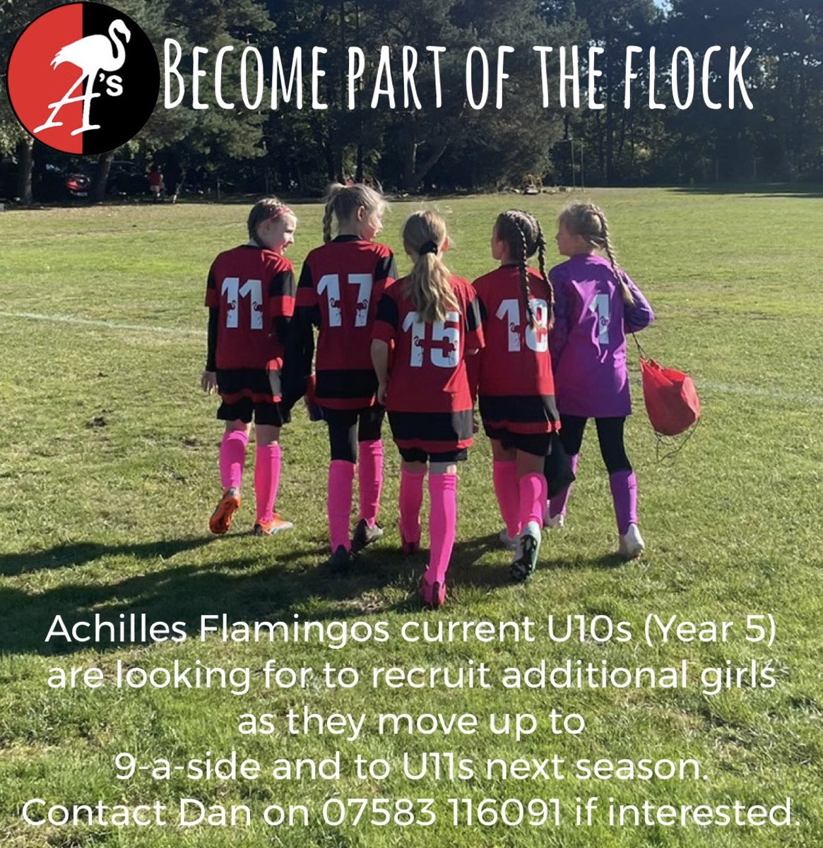 AchillesGirlsFC's tweet photo. Training Thursdays at St Joseph’s College and playing Sundays, with our home ground at Copdock. ⚽️🦩 https://t.co/csaSRiz2ZW