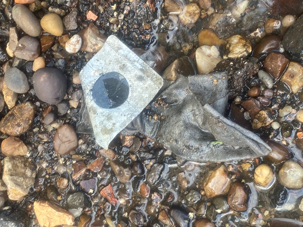 Hey <a href="/stwater/">Severn Trent</a>, for 3 years, a sewage spill near our allotment society has contaminated our water. Can we work together urgently to resolve this environmental threat and ensure the safety of our community's water supply? 

<a href="/LichfieldLive/">Lichfield Live®</a> <a href="/Lichfield_DC/">Lichfield District Council</a>  #CleanWaterNow