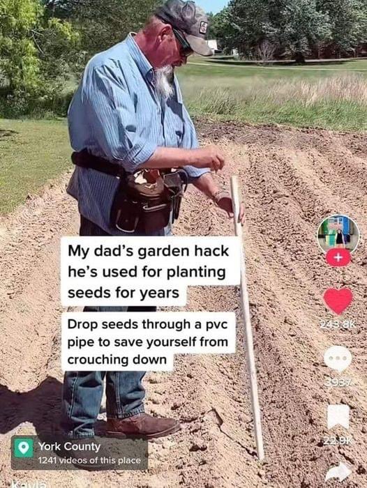 Brilliant!💡
#DemeterEarth #FeedTheSoilHarvestTheFuture #SmartGardening