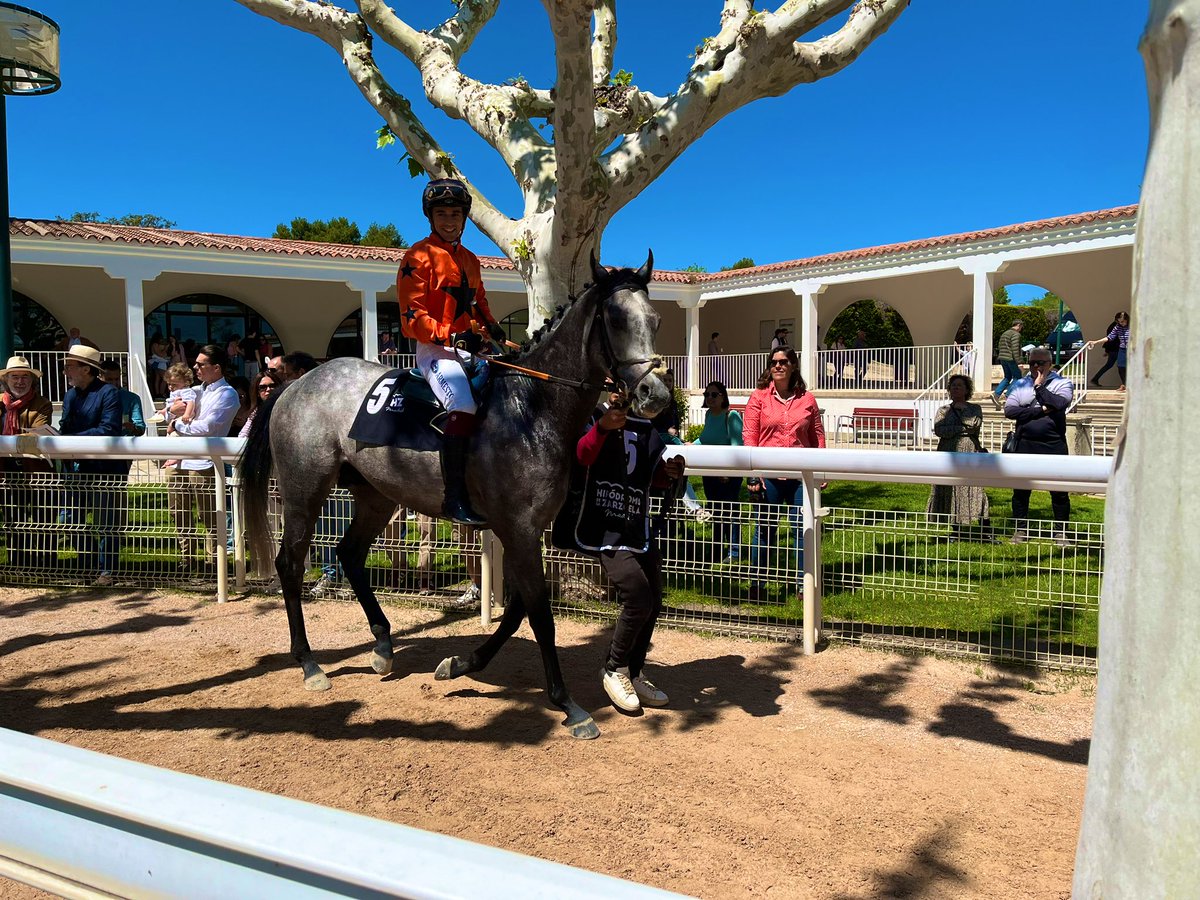 Orgulloso de ti Lion. Golpeado 2 veces , en uno pierde la fusta <a href="/jgelabertb/">Jaime Gelabert</a> cuando te iba a lanzar. Aún así estás cerca en lote de alto nivel . La suerte no nos acampaño . Gracias a <a href="/jgelabertb/">Jaime Gelabert</a> por su compromiso y a <a href="/MaxTellini/">Max Tellini</a> y <a href="/Team_Augelli/">Team M&M Racing</a> por el gran trabajo . Seguimos 💪