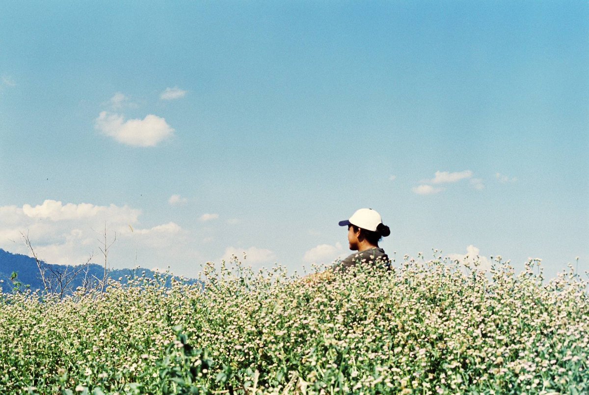 Megat 'Adli tweet media