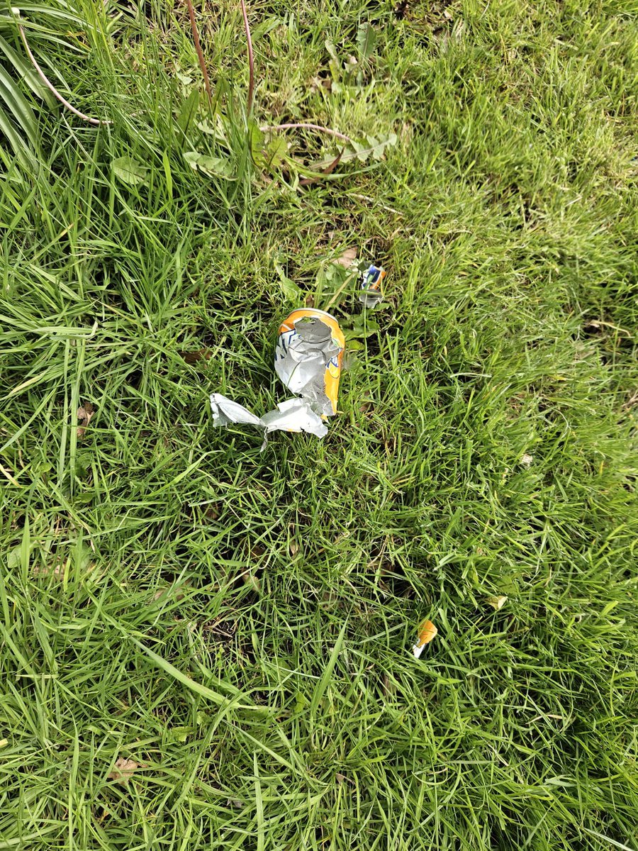 Looks like the grass wasn’t litter picked before the council mowers turned up to the cut the grass 🤦🏼‍♀️

Childwall Road - be careful shredded drinks cans in the grass now 

#pennylanewombles #litterpicking #sustainable #gogreen #savetheplanet #beatles #pennylane #thebeatles