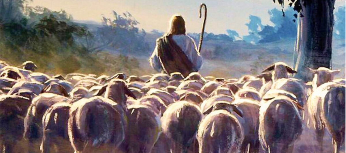 DaithiDeNogla's tweet image. “There will be one flock, one shepherd.”