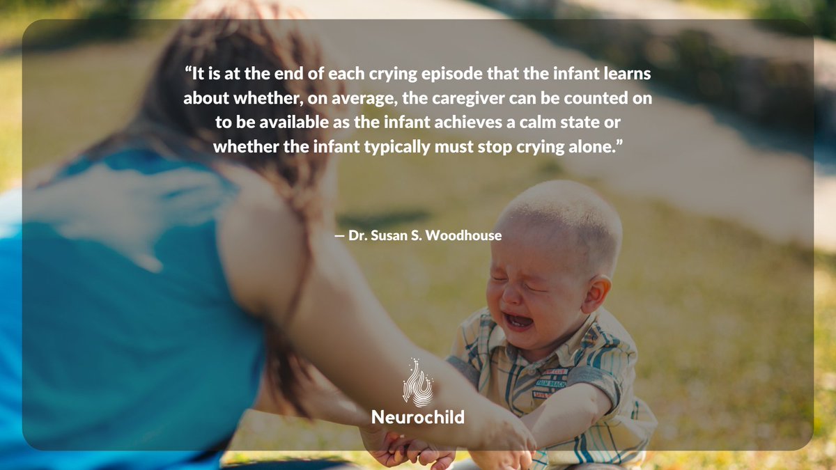 You don’t have to be a perfect parent to have a securely attached child. 💞

#neurochild  #neuro  #biologicallife  #child #empathy  #socialconnection  #play #purpose  #sensory