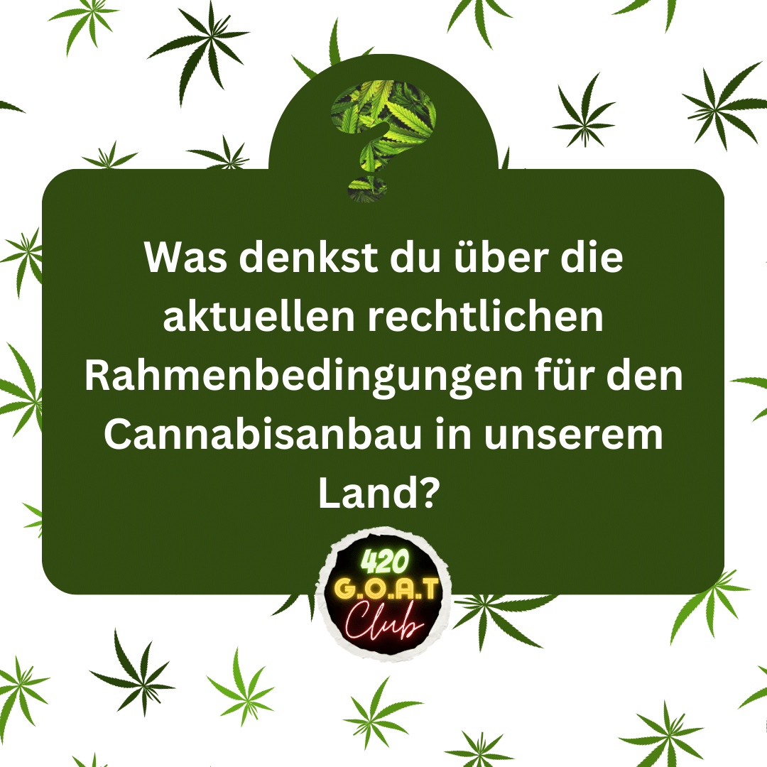 Was denkst du über die aktuellen rechtlichen Rahmenbedingungen für den #Cannabisanbau in Deutschland? 🤔

Ich finde ja, es geht noch liberaler! 😇

#Weedmob #CannabisCommunity #EigenanbauStraffrei #CanG