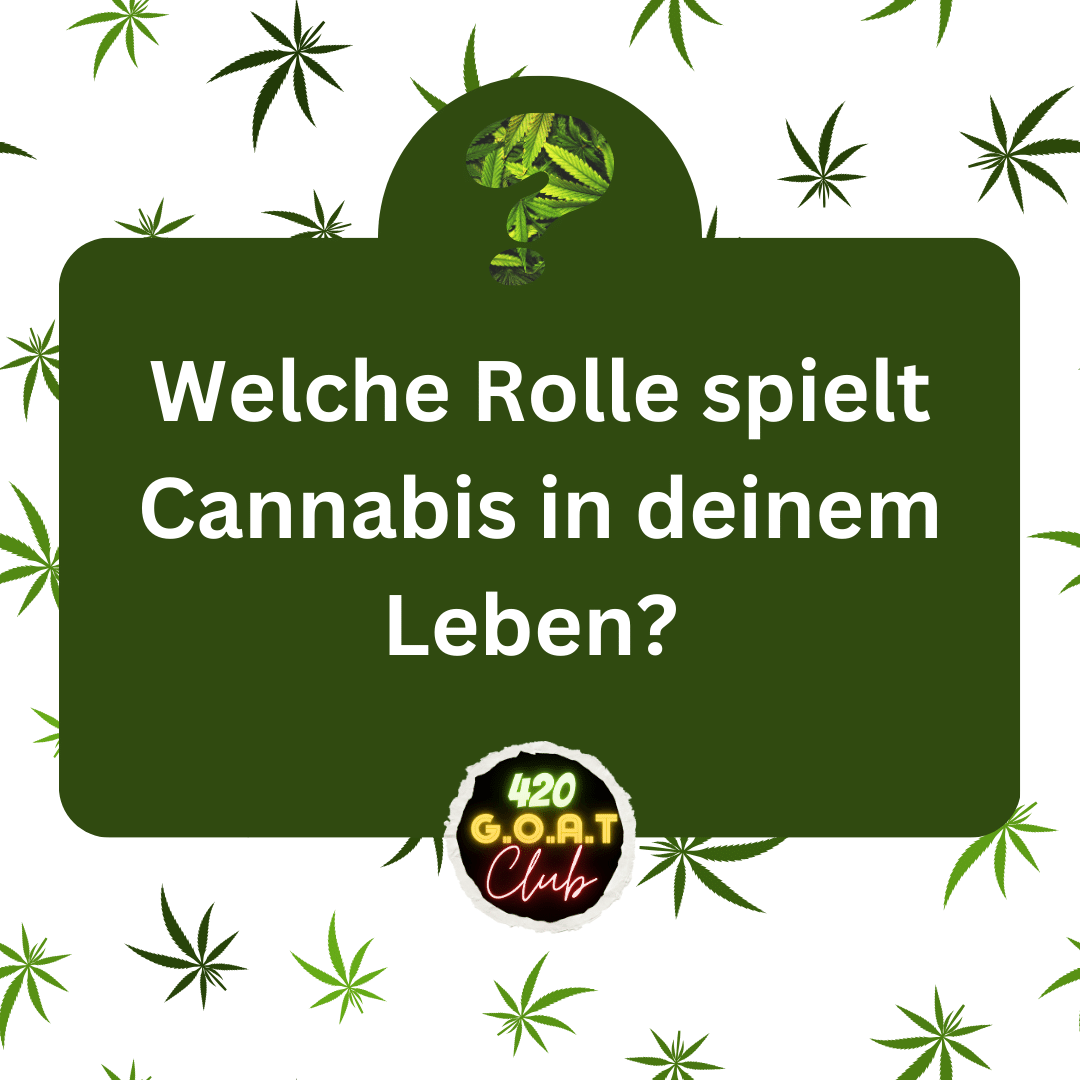 Welche Rolle spielt Cannabis in deinem Leben?🤨

#Weedmob #CannabisCommunity #CanG