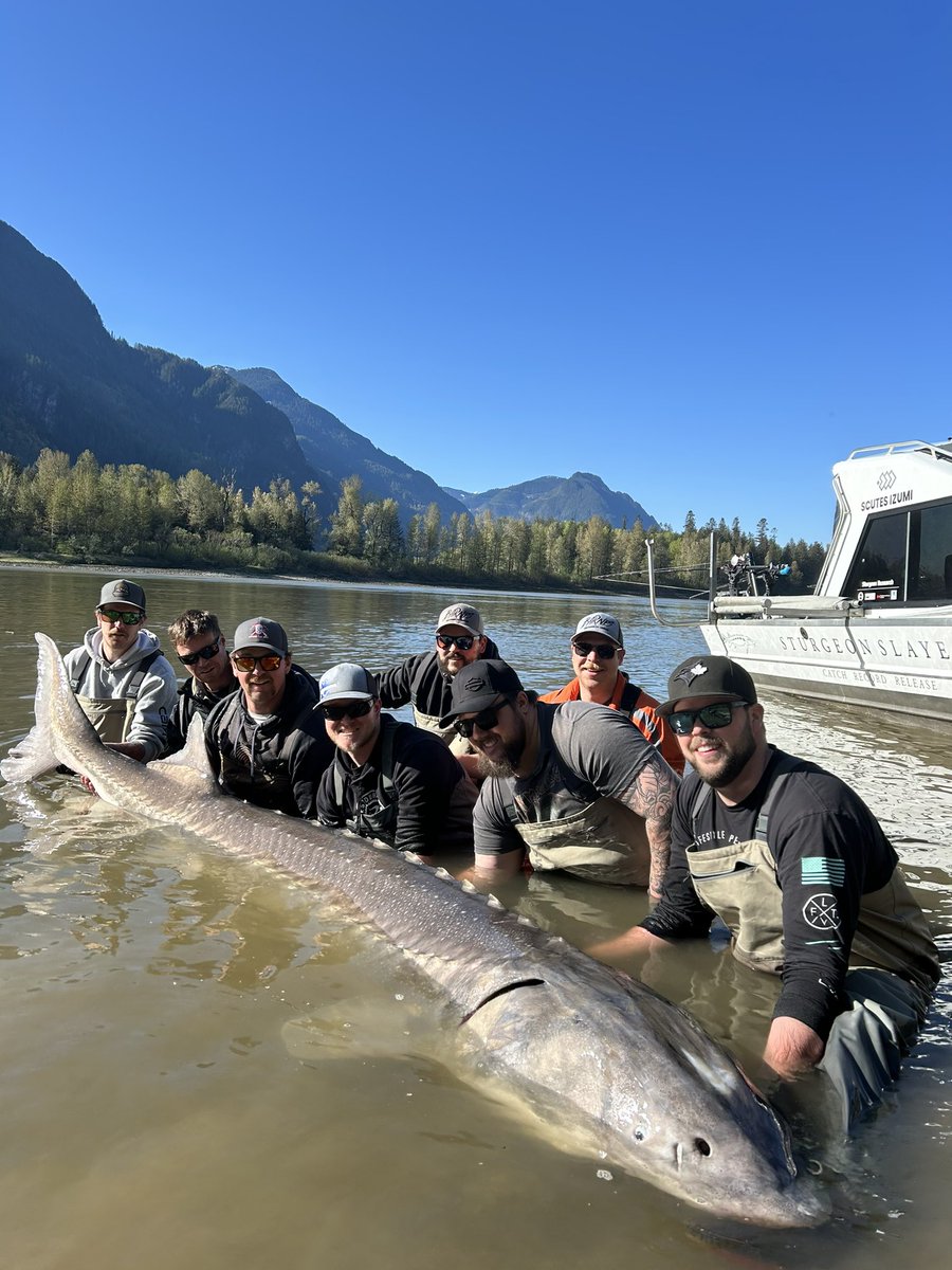 Sturgeon Slayers tweet media