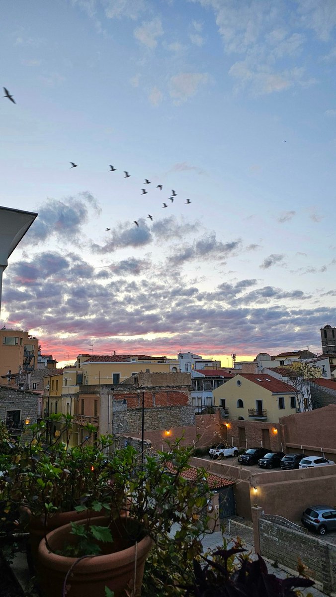 Marellagiov's tweet image. In volo stasera. #marellagiovannelli #dallafinestra #throughthewindow #olbia #viagaribaldi #sardegna #sardinia