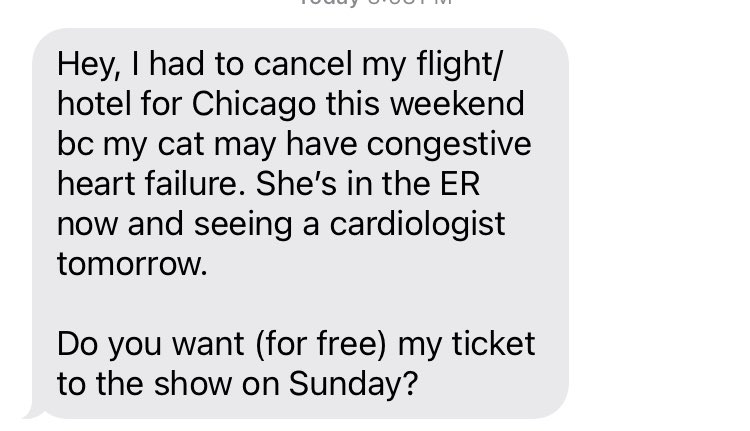 a friend had to cancel flying in this week for the pg99/city of caterpillar/saetia/@crowningpool show at the metro due to a medical emergency with his cat, DM us if you would like to purchase his ticket. I’m sending him whatever you pay for it to go towards her vet bill 🖤