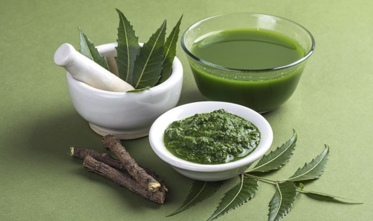 The Power of Neem for Health

Neem, a tree with a rich history in traditional medicine, offers extensive health benefits. Its leaves, packed with medicinal properties, provide holistic wellness support. From enhancing reproductive health to combating infections and promoting skin