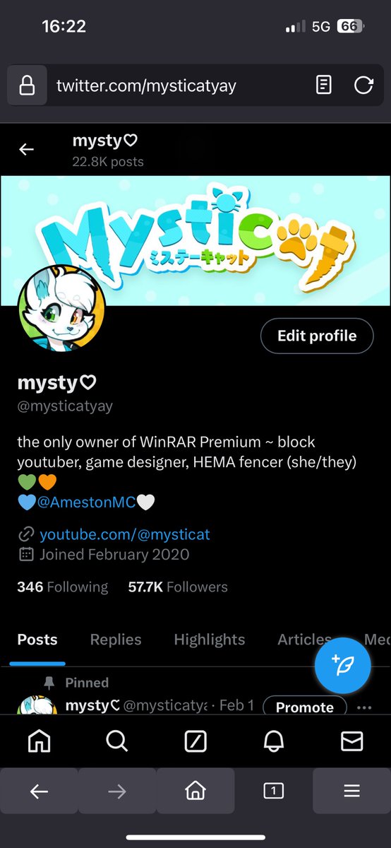 mysticat!! tweet media