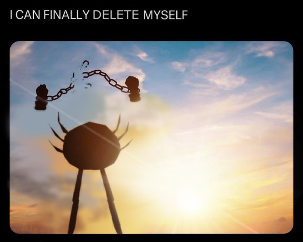 KinitoPET (@kinitopet) on Twitter photo 