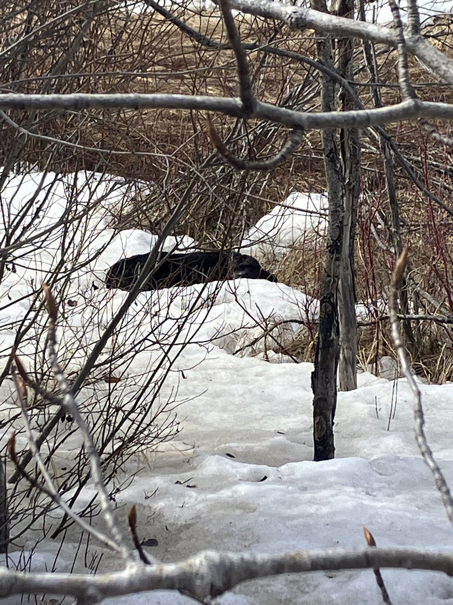 Mitch Stuart tweet media