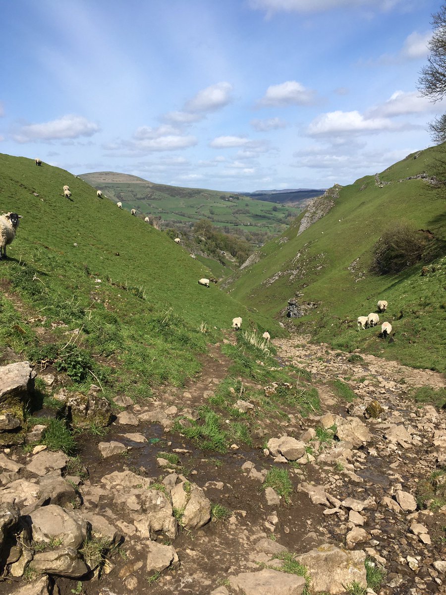 Today’s dog walk. Up Pindale and down Cavedale all in glorious sunshine.