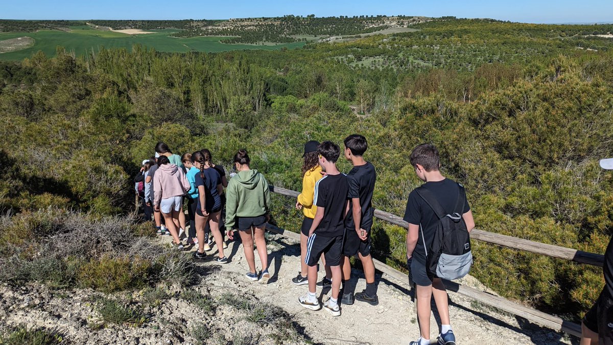 🌲 Las actividades medioambientales son la base de la programación del #CINMatallana. 👬 Cada semana, más de 70 escolares se alojan es la hospedería y realizan actividades para aprender a cuidar y respetar el medioambiente.