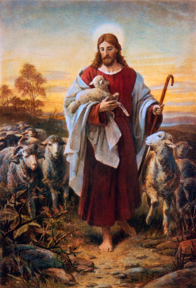 The good shepherd is one who lays down his life for his sheep Jesus said: ‘I am the good shepherd: the good shepherd is one who lays down his life for his sheep. The hired man, since he is not the shepherd and the sheep do not belong to him, abandons the sheep and runs away as