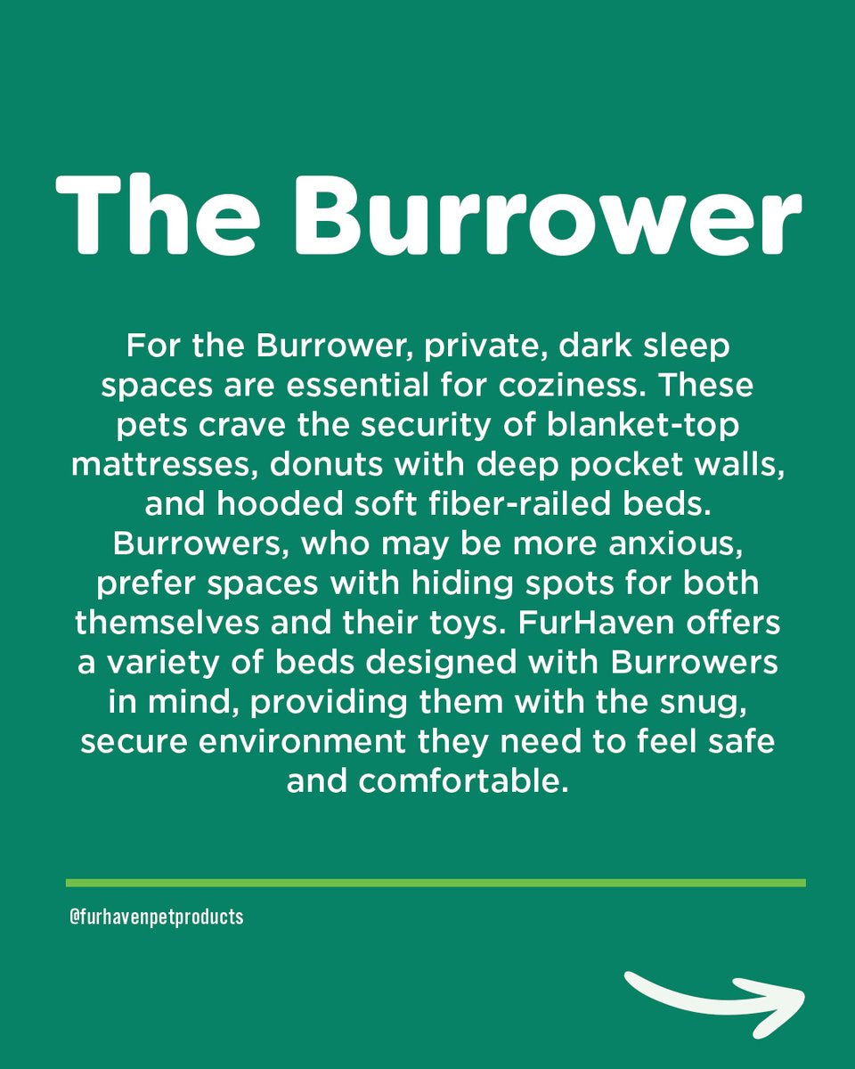 furhavenpet's tweet photo. Is your pet a #Burrower? Learn all about what that is below, or at the link in our bio!

#FurHaven #PetBed #SleepStyles https://t.co/YvSYA3abop