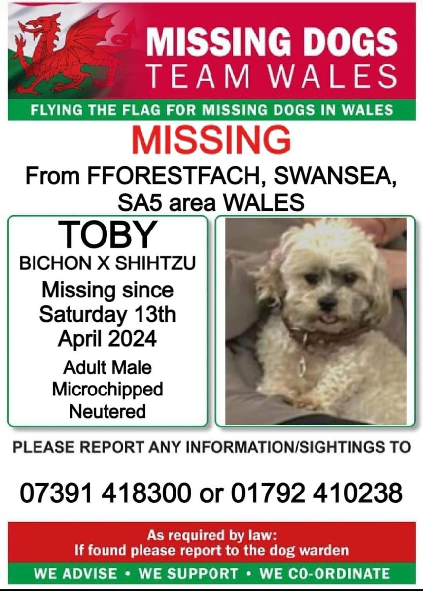 rosiedoc666's tweet photo. TOBY MISSING SINCE SAT 13/4/24
FROM STATION RD #FFORESTFACH #SWANSEA #SA5
HAS ANY1 PICKED HIM UP THINKING A STRAY ? Chipped so please take him to any vets if found TY
@FforestfachFC @lezzet55222 @SwanseaOnline10 @juliagarland73 @thedogfinder @JacquiSaid @RachaelB100 @HunnyJax https://t.co/2TyIA99XRe