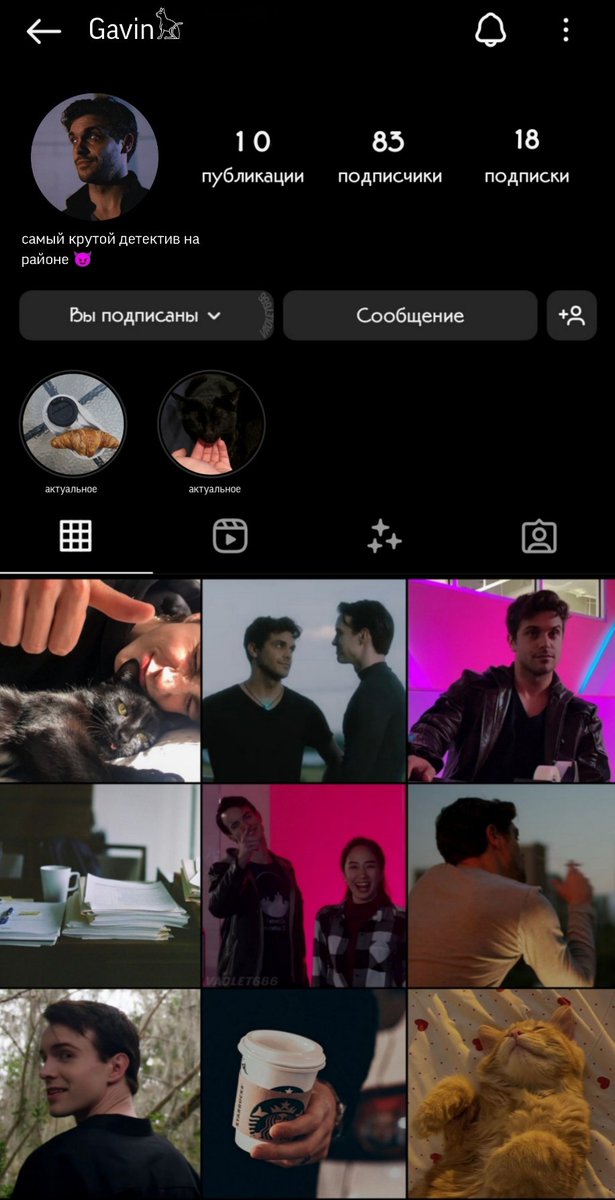 filia_samurai's tweet image. Я просто предположила как могли бы выглядеть странички Ричарда и Гэвина в инсте
#reed900 #detroitbecomehuman #detroitevolution