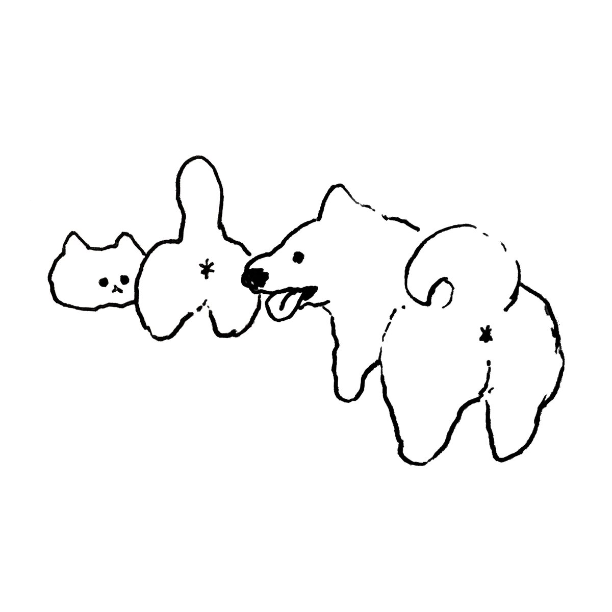 いぬとねこ 