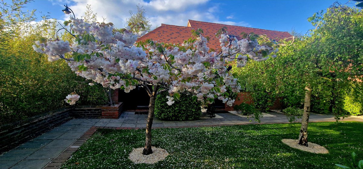 Louise Pennington FCCT (She/Her) tweet media