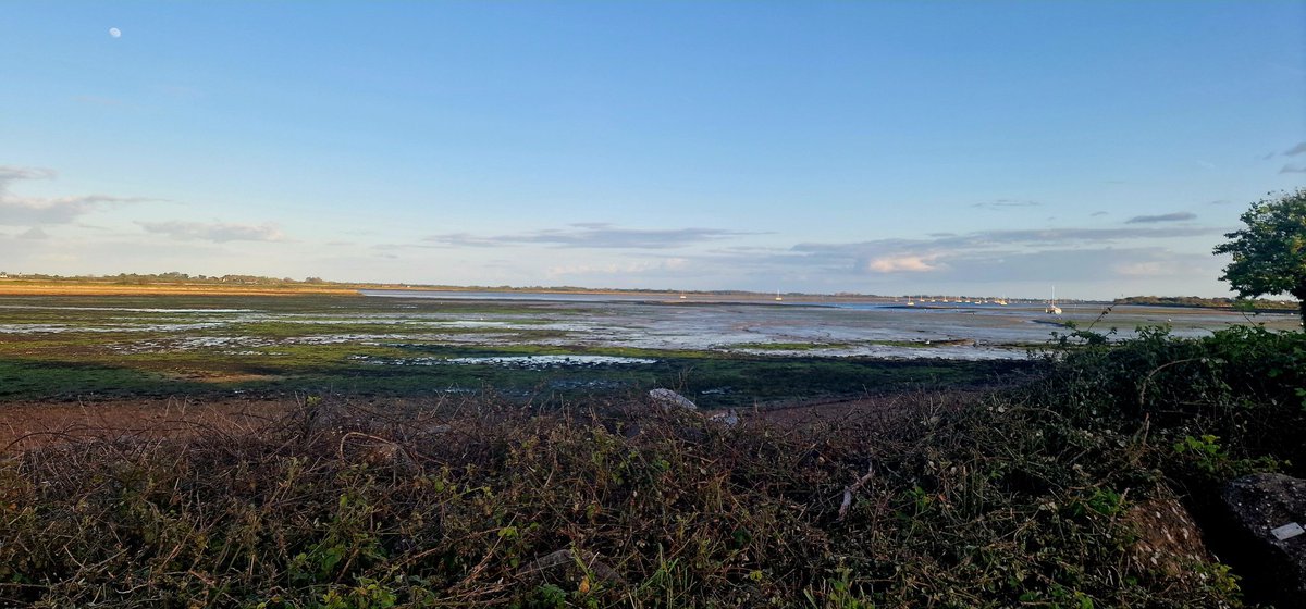 Louise Pennington FCCT (She/Her) tweet media