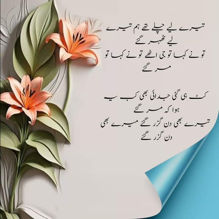 Asia Bibi tweet media