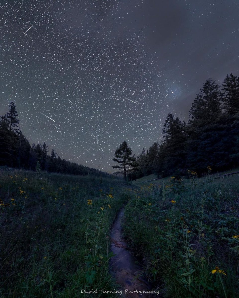 Photographer 📸 David Turning Photography, aka @truxturning on Instagram - 'An evening in the Sacramento Mountains.' #OptOutside #nature #comets #nightsky #NewMexico #roadtrip #travel #daytrip #weekendgetaway