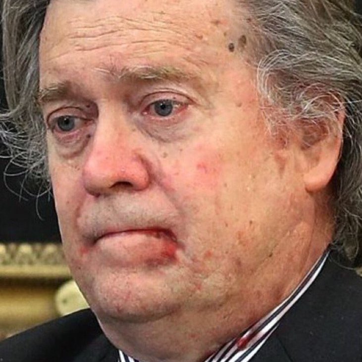 Steve Bannon on House Democrats: “It looks like the Addams Family. It’s a group of goof balls. They’re embarrassing to look at.” Fun fact: Did you know cold, flu and herpes have a Steve Bannon season?