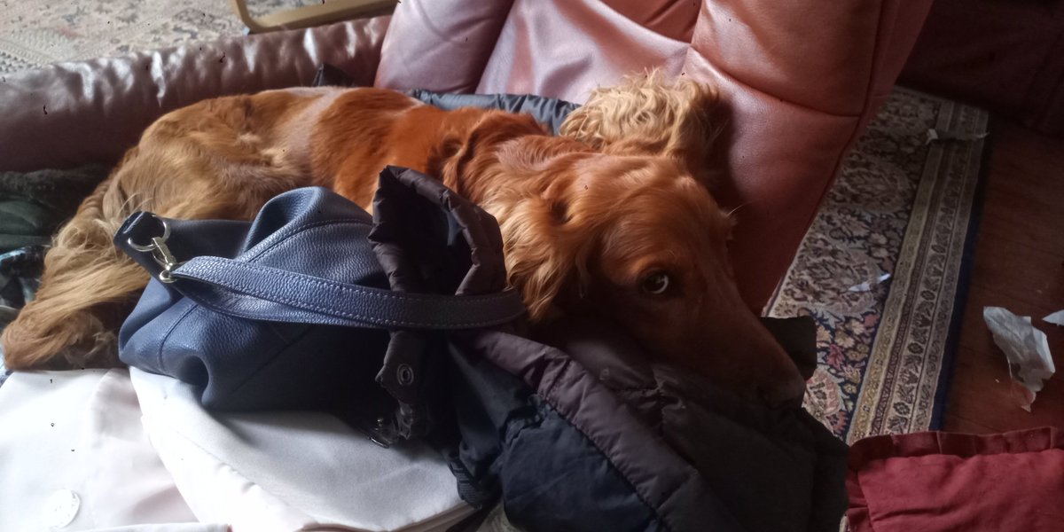 DouglasChristi9's tweet image. 'I am fine where I am thanks' #spanner