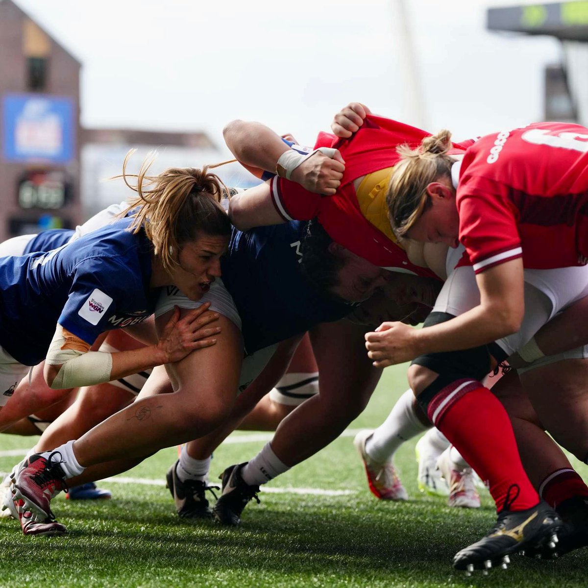 🫡Reçu 𝟒/𝟒 🇫🇷

#XVdeFrance #NeFaisonsXV #GALFRA
