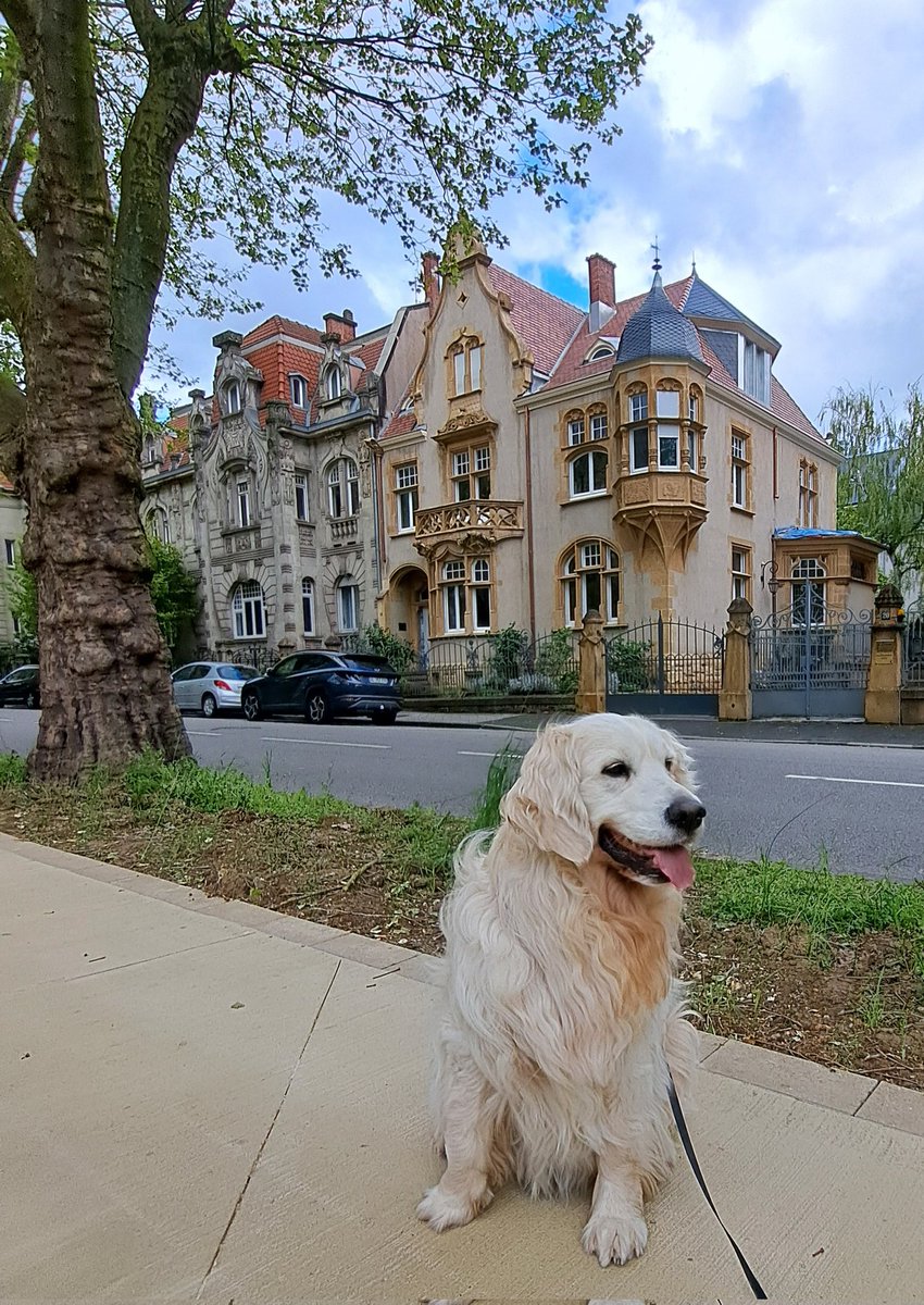Hey Friends, today I start a new series. I will show you a couple of 'private mansions', these were built by the Germans during the second annexation. This is on Avenue Foch. I hope you will like those. #goldenretrievers #dogcelebration @GrosdidierMetz @inspire_metz @LeRL_Metz
