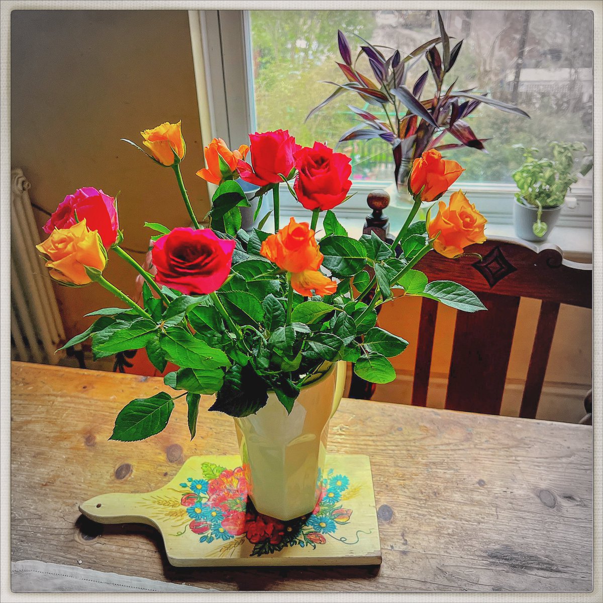 Day 112/366 #photoaday I love having flowers in the kitchen. Here are today's beauties. #photooftheday #flowers