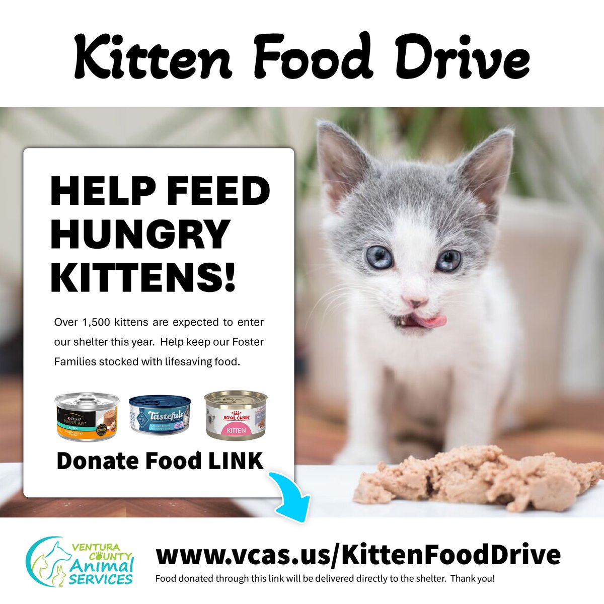 1,500 kittens expected this year and we need help keeping our foster parents fully stocked with lifesaving food. Food should be delivered directly to the Camarillo Animal Shelter - 600 Aviation Drive. Thank you for whatever you can donate! vcas.us/KittenFoodDrive