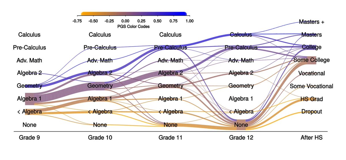 Mathematics education is a great way to see genetic stratification happening. Individuals with higher educational attainment polygenic scores tend to do higher-level mathematics courses and persist with mathematics education for longer.